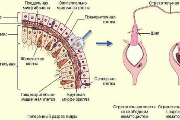 Kra11.at