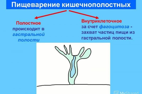Kraken актуальные ссылки официальный сайт