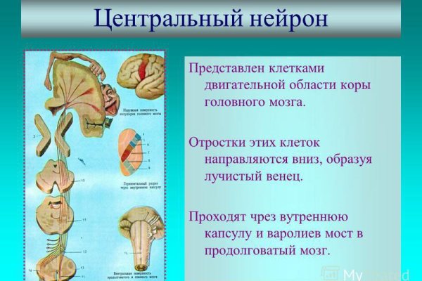 Кракен шоп интернет